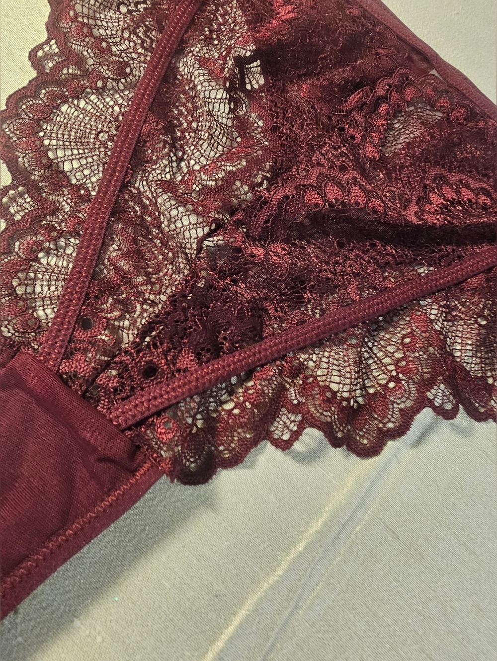 Thistle & Spire Burgundy Lace And Sheer Mesh Thong Size 2x